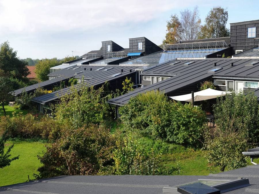 Modern housing set among mature planting